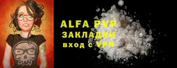 спиды Богородицк