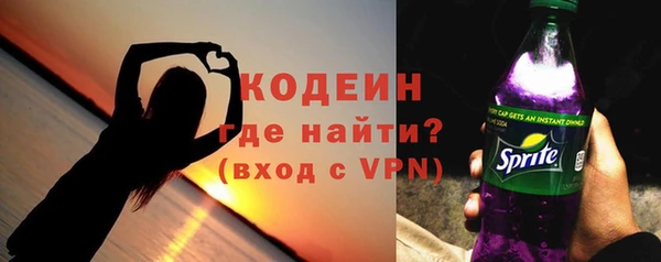 спиды Богородицк