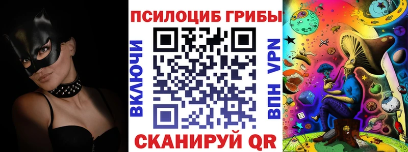 Псилоцибиновые грибы Magic Shrooms  Будённовск 
